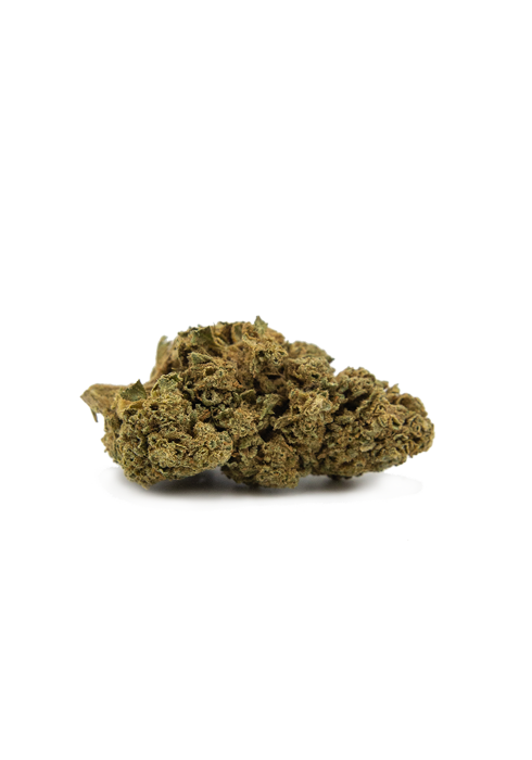 Feel - Bubble Gum du Sud-Est - Blister 1g