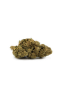 Feel - Bubble Gum du Sud-Est - Blister 1g