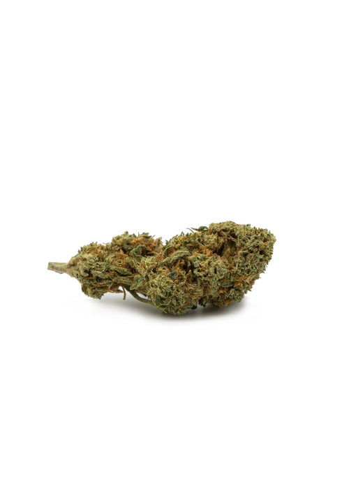 Feel - Girl Scout Cookies de Drôme - Blister 1g