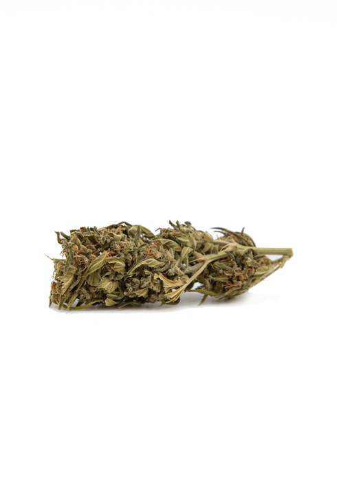 Feel - Lemon Haze Occitan - Blister 1g