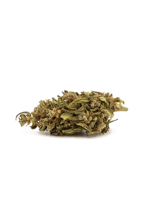 Feel - Strawberry de Luberon - Blister 1g