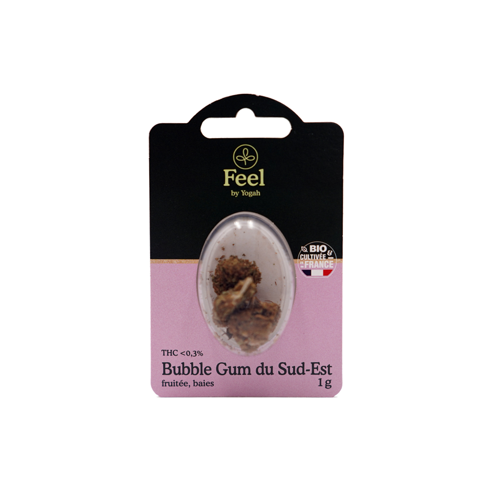 Feel - Bubble Gum du Sud-Est - Blister 1g