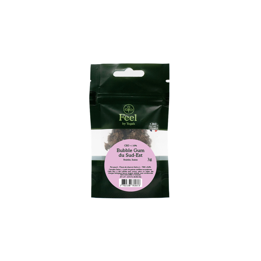 Feel - Bubble Gum du Sud-Est - Doypack 3g