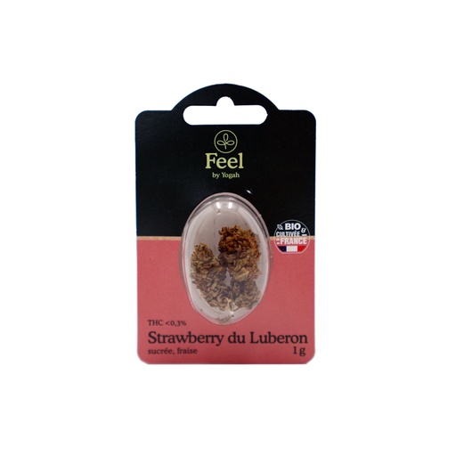 [EAN: 3760338760843] Feel - Strawberry de Luberon - Blister 1g