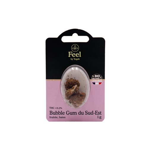 [EAN: 3760338760973] Feel - Bubble Gum du Sud-Est - Blister 1g