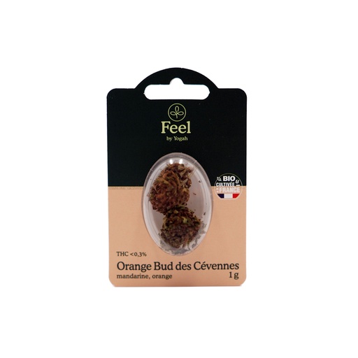 [EAN: 3760338760959] Feel - Orange Bud des Cevennes - Blister 1g