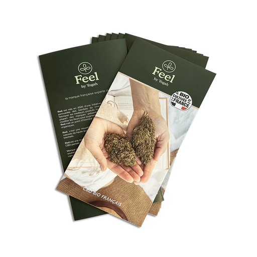 Feel - PACK 20 Dépliants 10x21 cm